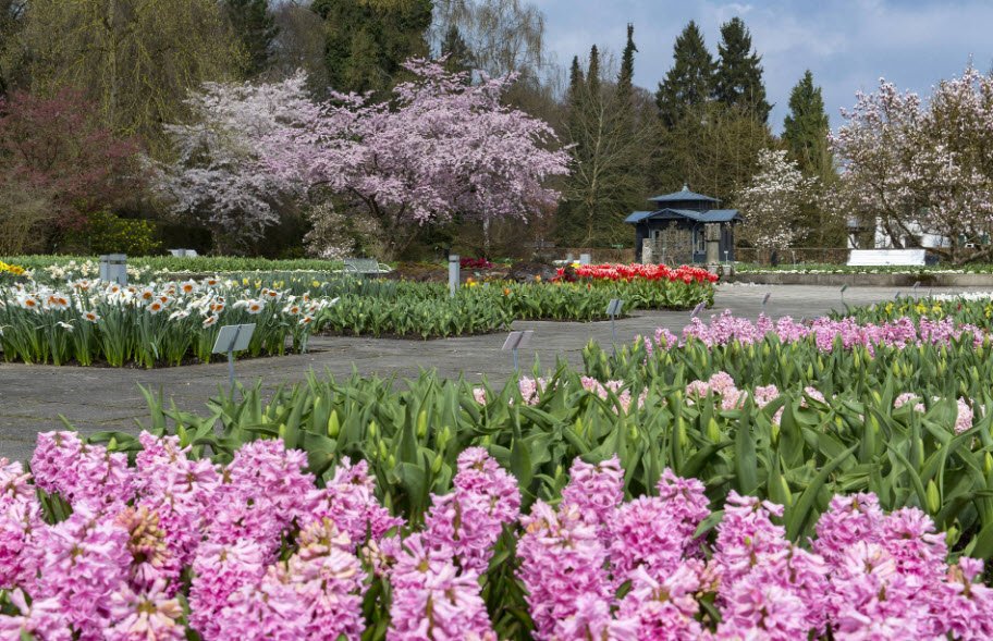 Augsburg Botanical Garden, Germany